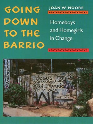 cover image of Going Down to the Barrio